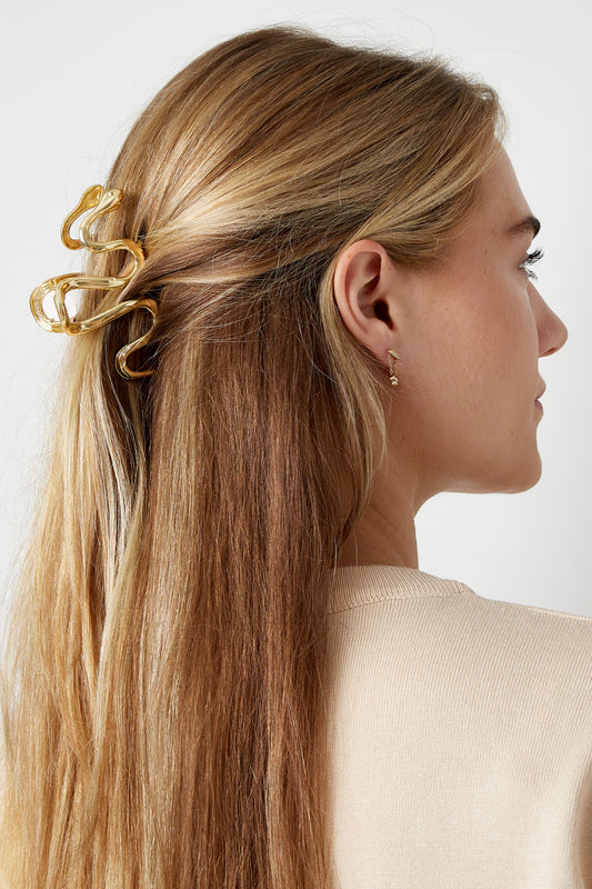 Elegant Silver & Gold Alloy Hair Clips