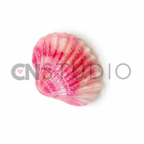 Schelp Marble