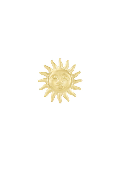 Elegant Stainless Steel Brooch in Silver & Gold