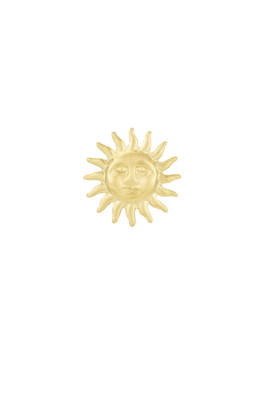 Elegant Stainless Steel Brooch in Silver & Gold