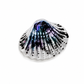 Schelp Marble