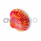 Schelp Marble