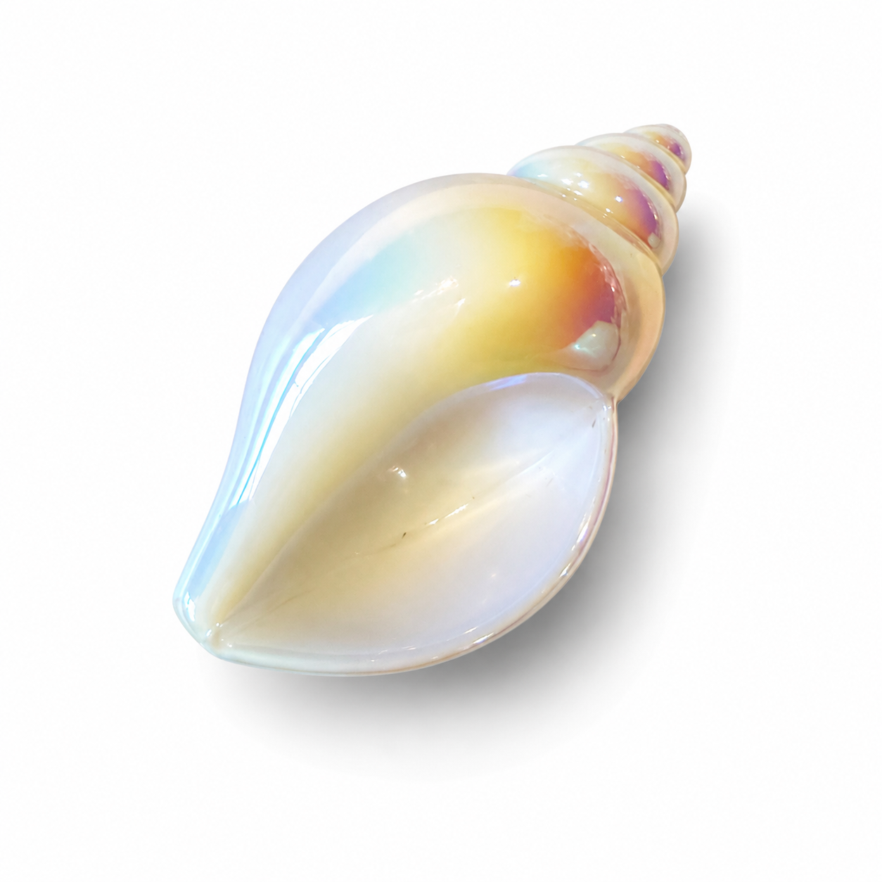 Zeeschelp marble
