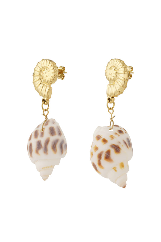 Seashell Elegance Oorbellen