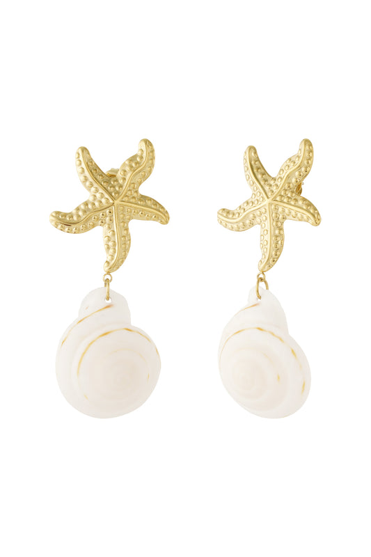 Oorbellen met druppelvorm van roestvrij staal, schildpad, casual, dagelijks, eenvoudig, serie, damessieraden